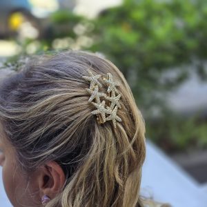 Hair Pieces: set of 2 
Star Fish Hair Clips